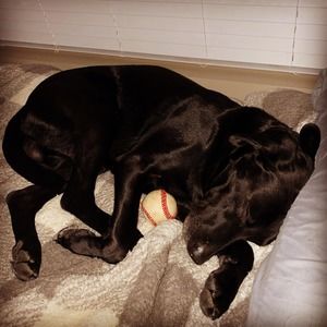 Meet your Posher, Zach